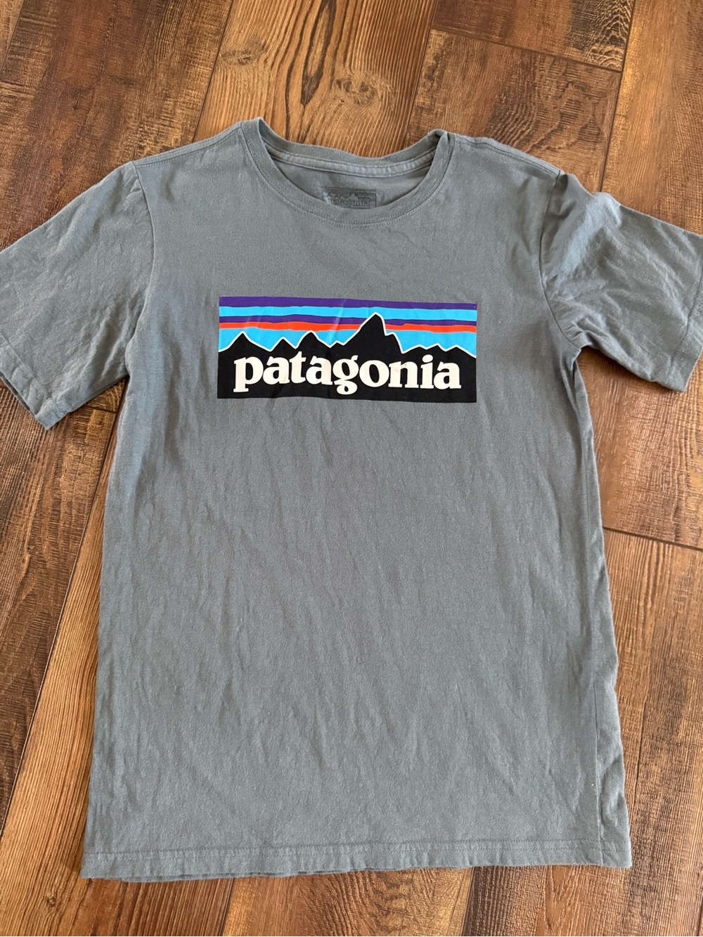 Patagonia Kids Short-Sleeve Tee in Gray with Multicolor Logo